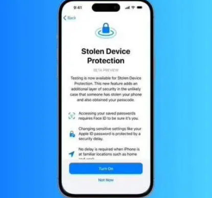 泾阳苹果授权维修店分享被盗设备保护功能开启方法 