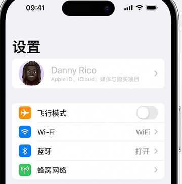 泾阳appleID维修服务iPhone设置中Apple ID显示为灰色无法使用