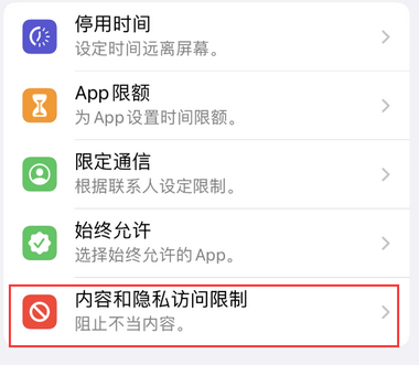 泾阳appleID维修服务iPhone设置中Apple ID显示为灰色无法使用