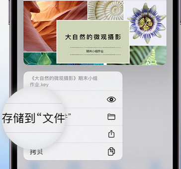 泾阳apple维修中心分享iPhone文件应用中存储和找到下载文件