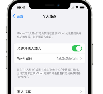 泾阳apple服务站点分享iPhone上个人热点丢失了怎么办