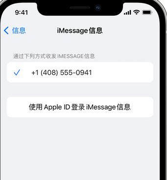 泾阳apple维修iPhone上无法正常发送iMessage信息