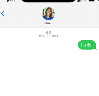 泾阳apple维修iPhone上无法正常发送iMessage信息