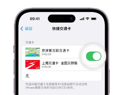 泾阳apple维修点分享iPhone上更换Apple Pay快捷交通卡手绘卡面 