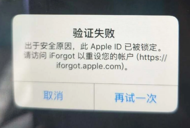 泾阳iPhone维修分享iPhone上正常登录或使用AppleID怎么办 