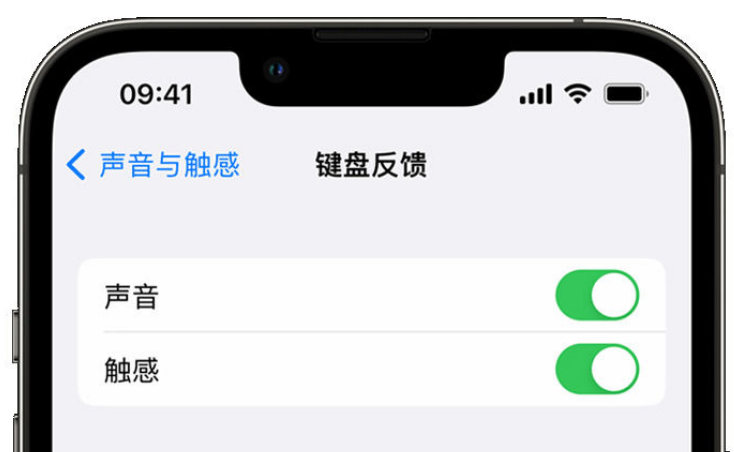 泾阳苹果手机维修分享iPhone 14触感键盘使用方法 