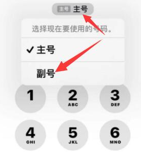 泾阳苹果14维修店分享iPhone 14 Pro Max使用副卡打电话的方法 