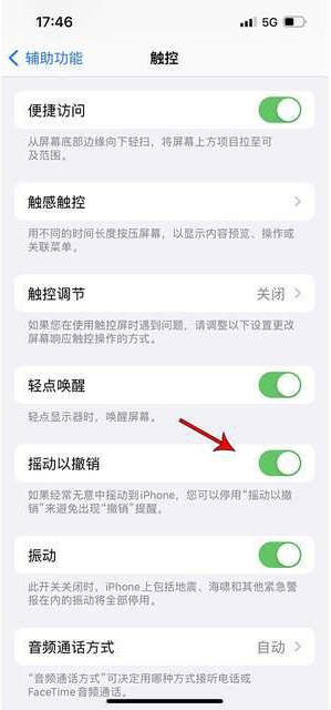 泾阳苹果手机维修分享iPhone手机如何设置摇一摇删除文字 